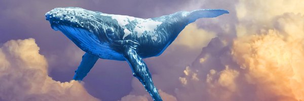BTCryptopunk Profile Banner