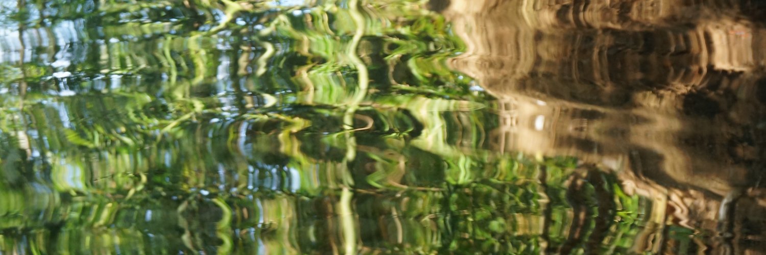dinashi_'s profile banner image