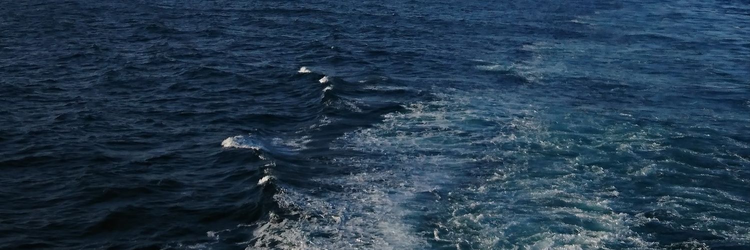 liEorpHony's profile banner image