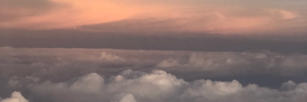 MegFrank21's profile banner image