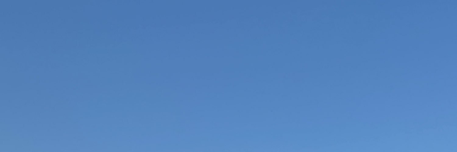 Toruriru's profile banner image