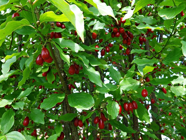 chowarit_max's profile banner image