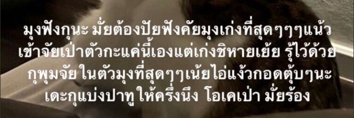 สกาย banner