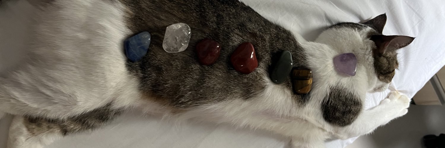bosekatze_'s profile banner image