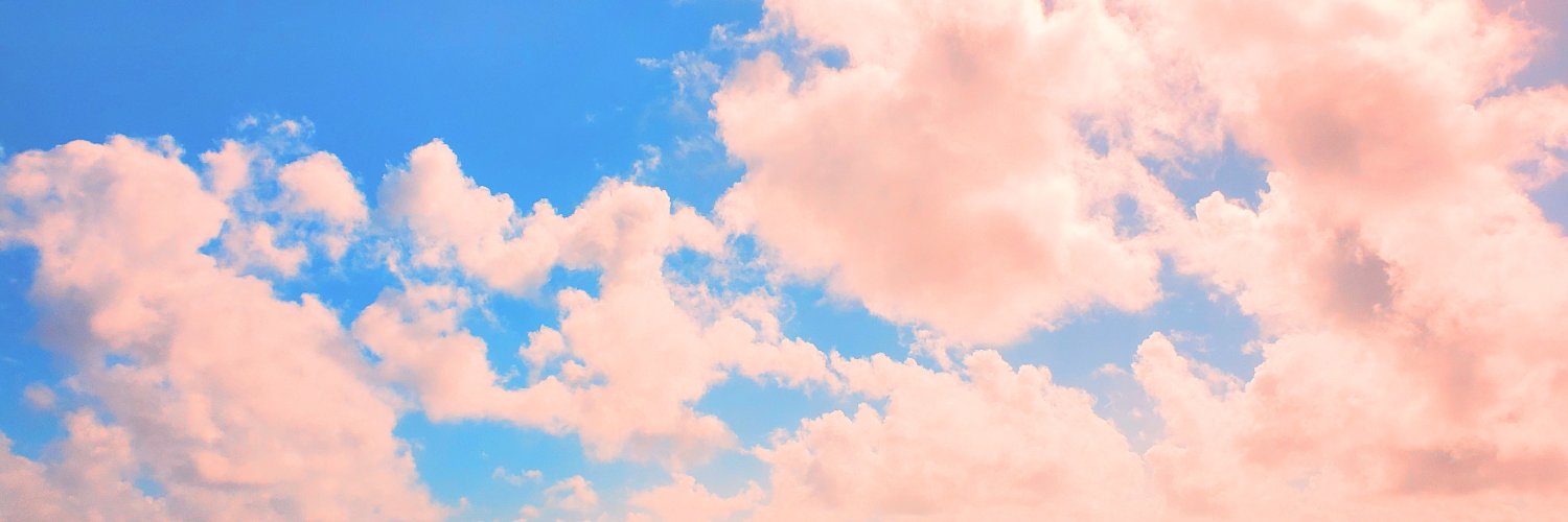 acute_bird's profile banner image