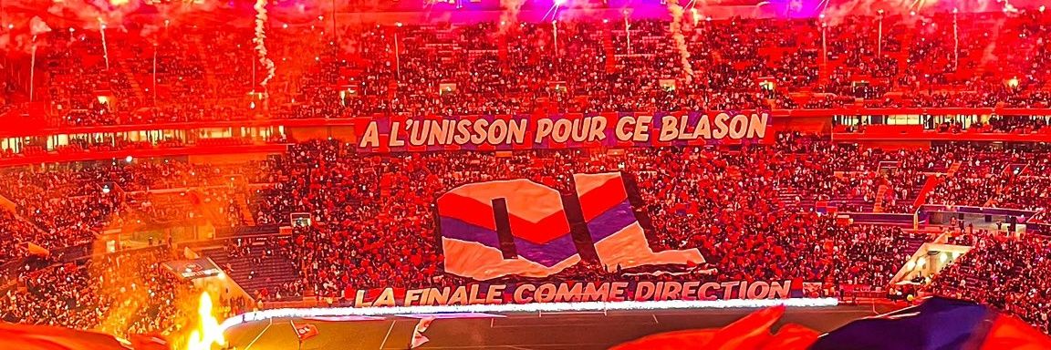 Loris banner