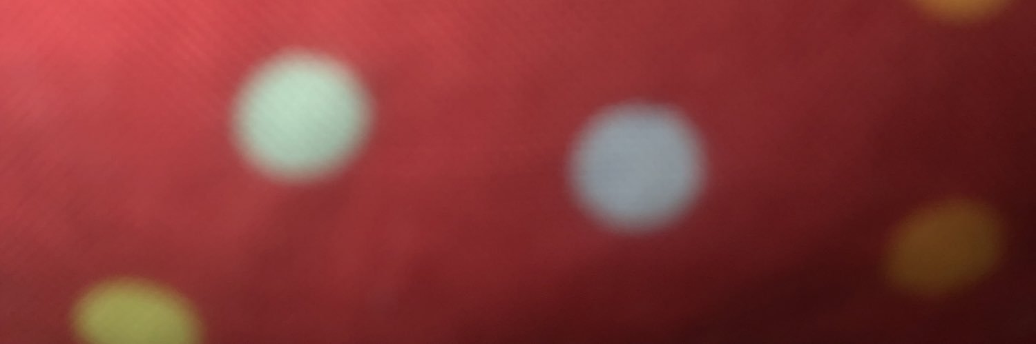 Rachelle Hernandez banner