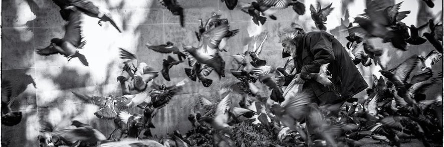 Pierre_de_Paris's profile banner image