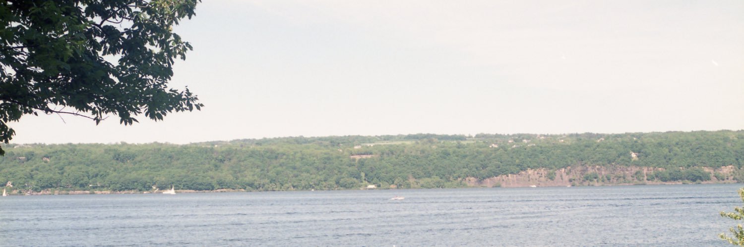 ankmaei's profile banner image