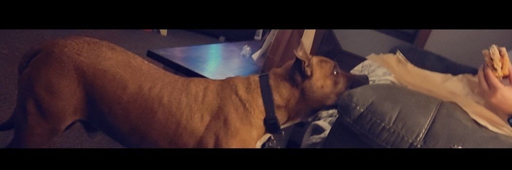 Ohhdy_'s profile banner image