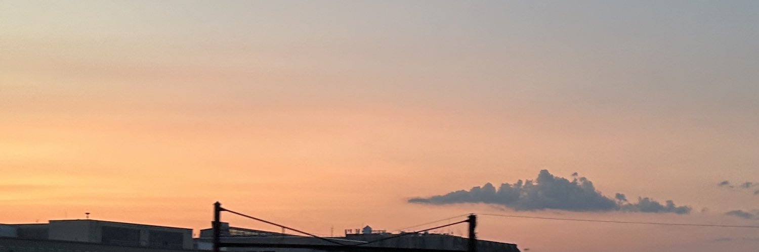 rhondizzlee__'s profile banner image