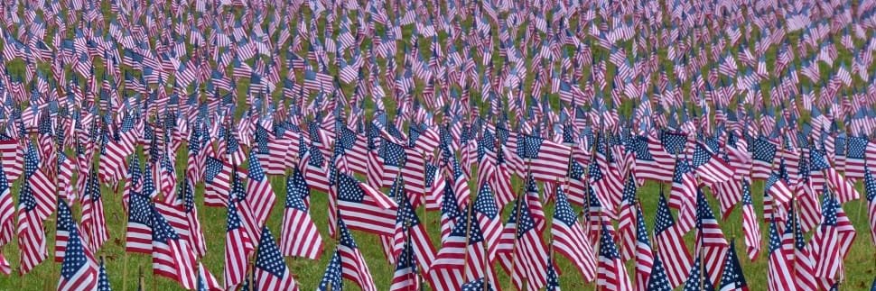 Alpha Shepherd banner