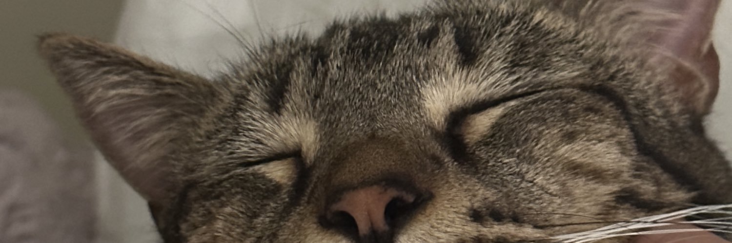 StephaanieAlexx's profile banner image