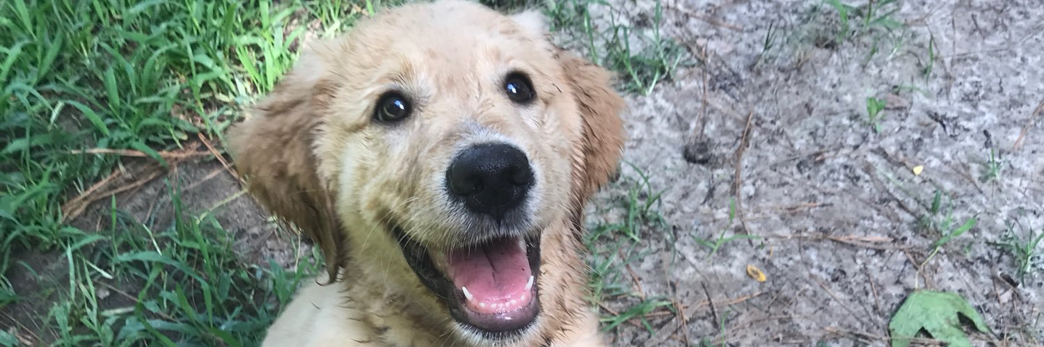 baileylien's profile banner image