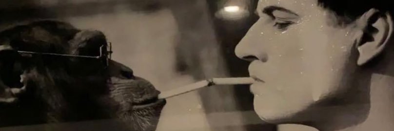 Jasonfrei14's profile banner image