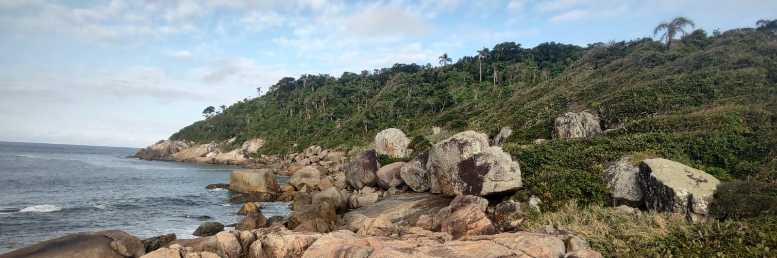 LEGALMENTE GABI KLUG banner