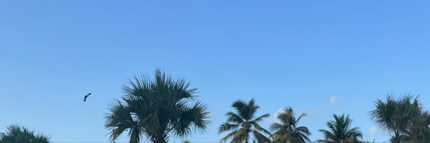 alondramillee's profile banner image