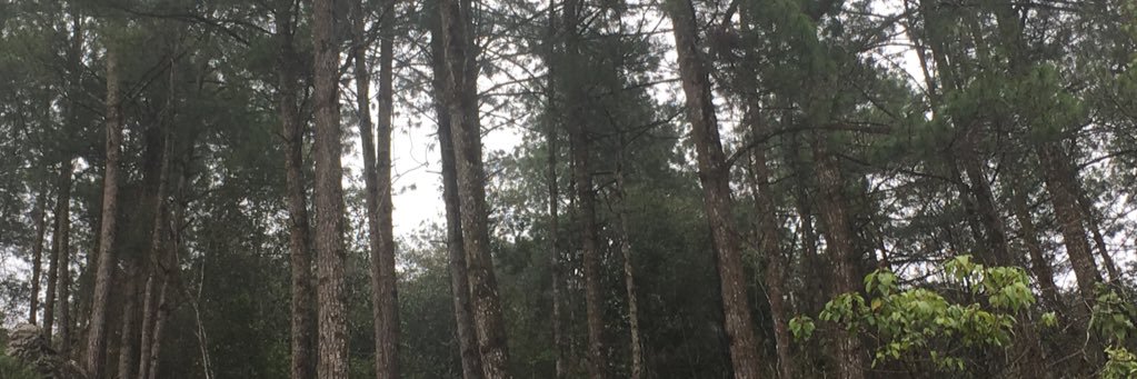 drmmoya's profile banner image
