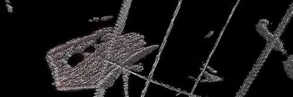 gloopchild Profile Banner