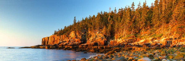 LilaMartinMD Profile Banner