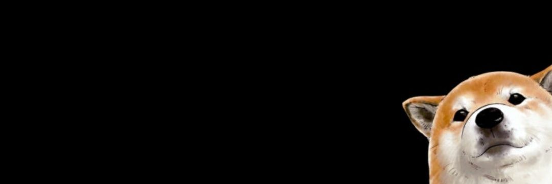 VzSammy's profile banner image