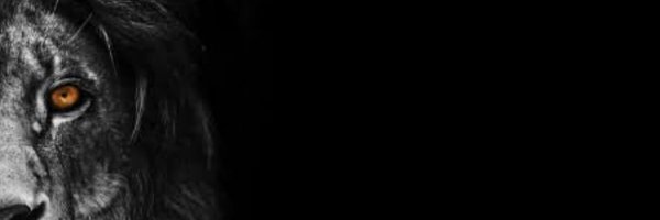 mc_Dixo84 Profile Banner