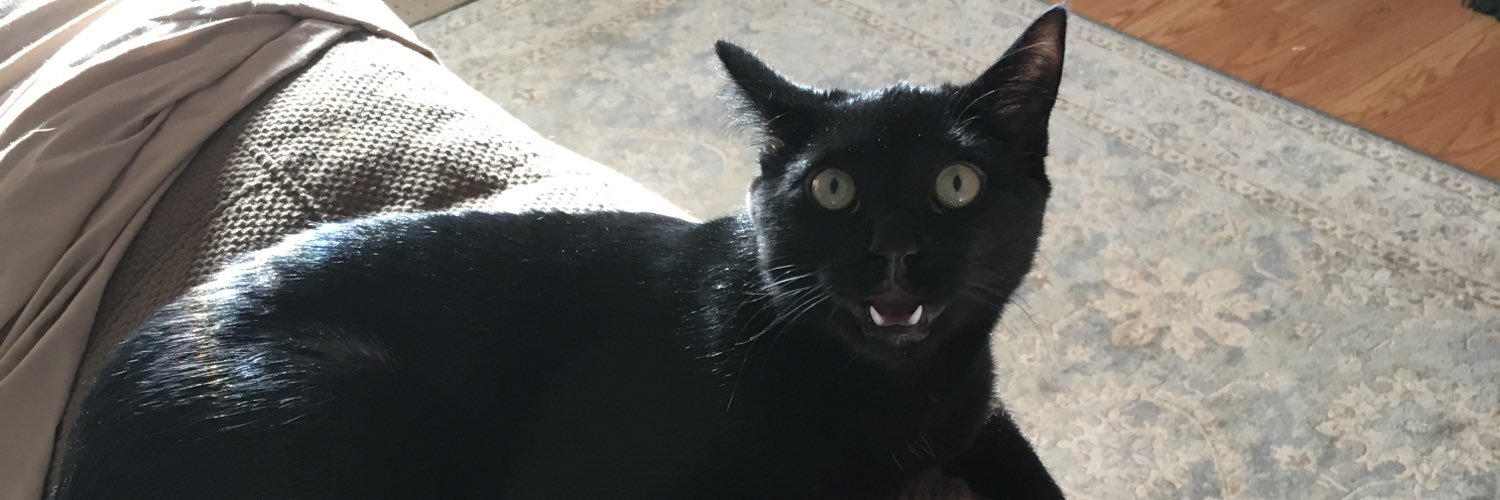 WilltheSquid's profile banner image