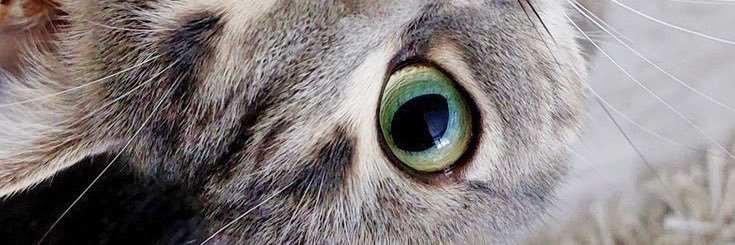 nadwers's profile banner image