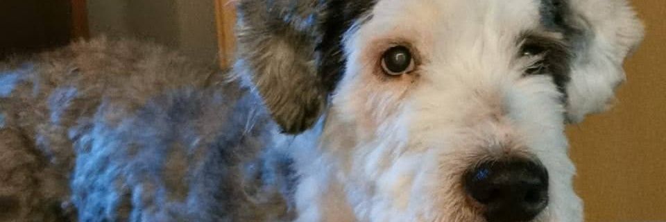 noemi_7g's profile banner image