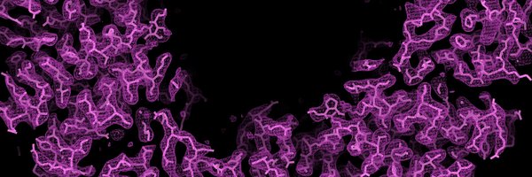 GonenShane Profile Banner