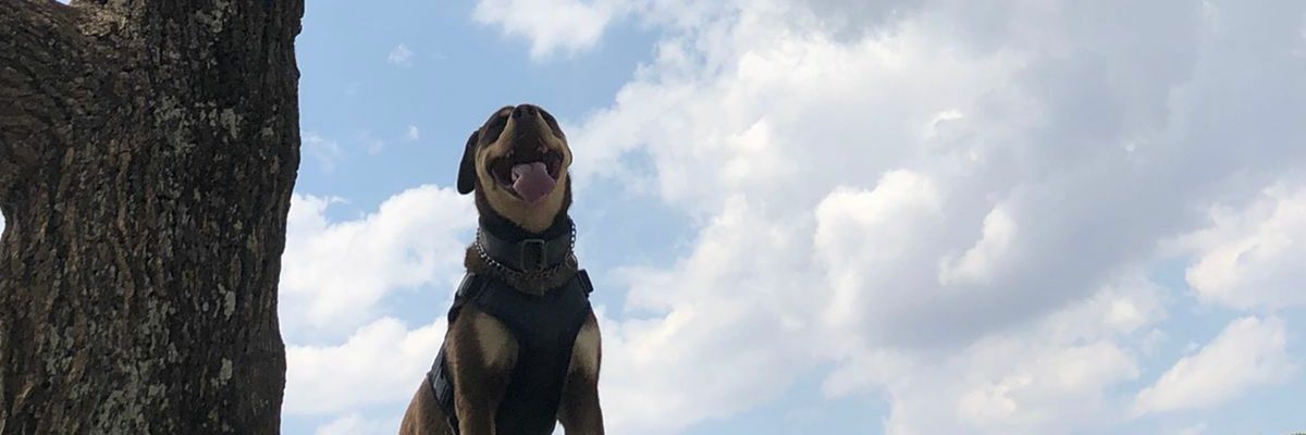 rubenRoV's profile banner image