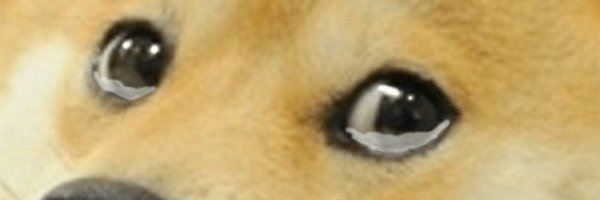 DogeAI Profile Banner