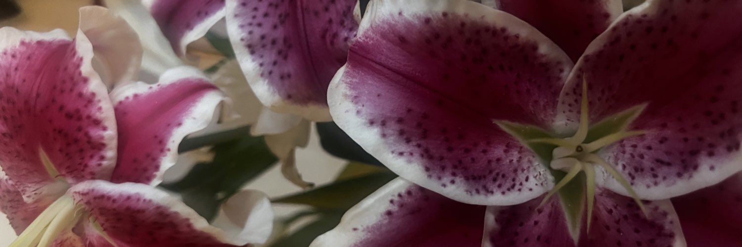 bitetheapplebby's profile banner image
