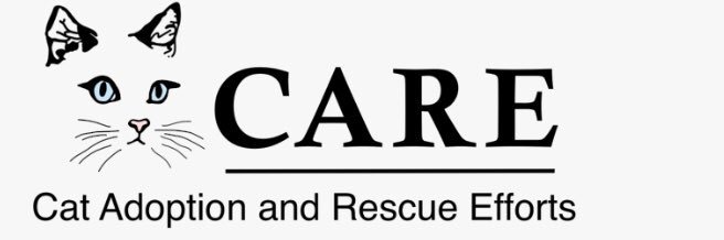 Carecats's profile banner image