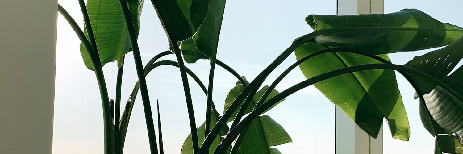 tlankk's profile banner image