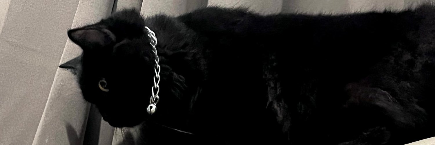 kondels_'s profile banner image