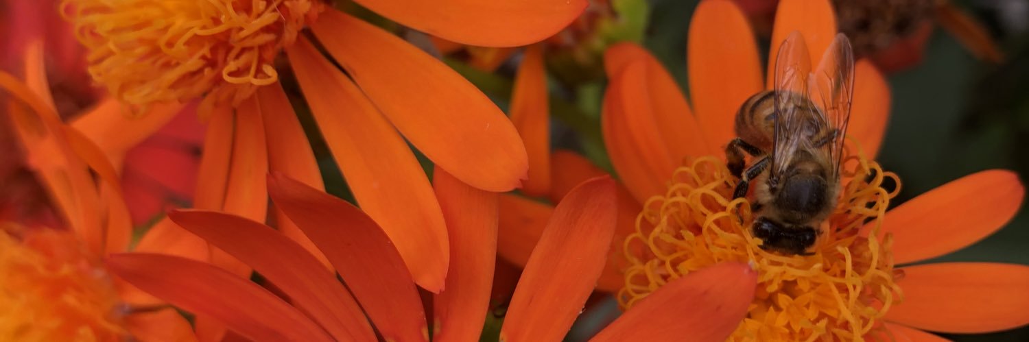 ATENASRDZ's profile banner image