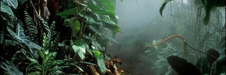 debyaprisca's profile banner image
