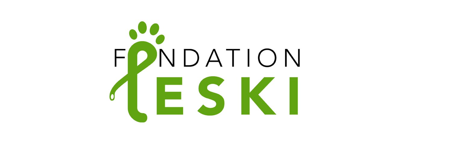 Fondation_Leski Profile Banner