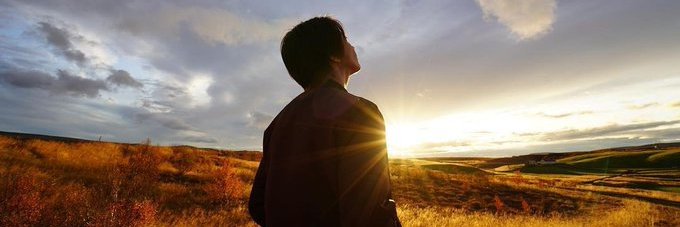toric0409's profile banner image