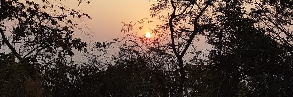 savitabala's profile banner image