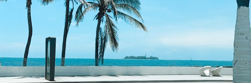 monseeCg's profile banner image