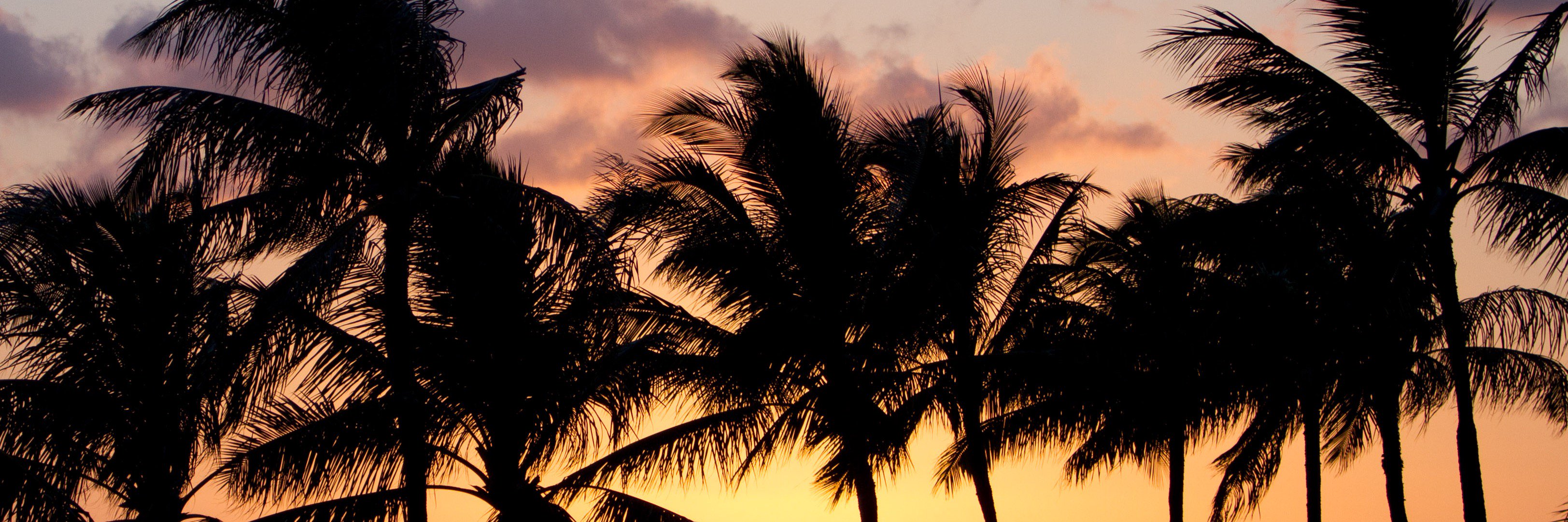 DougFalterPhoto's profile banner image