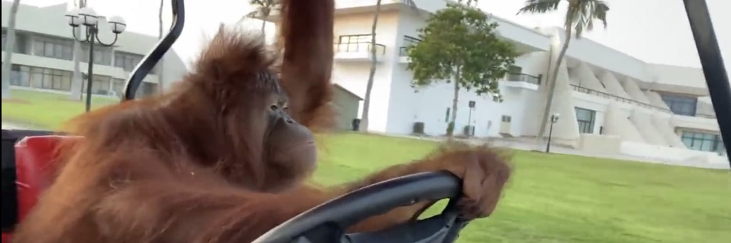 Virtual Pizza Man banner