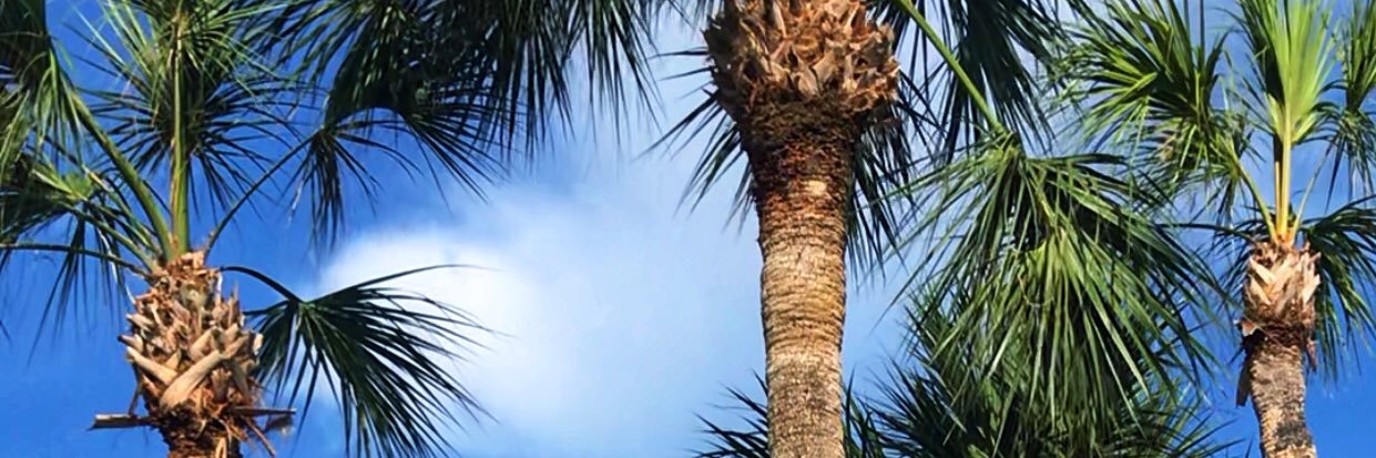 Kpritch722's profile banner image