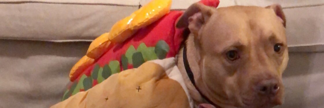 abby1023's profile banner image