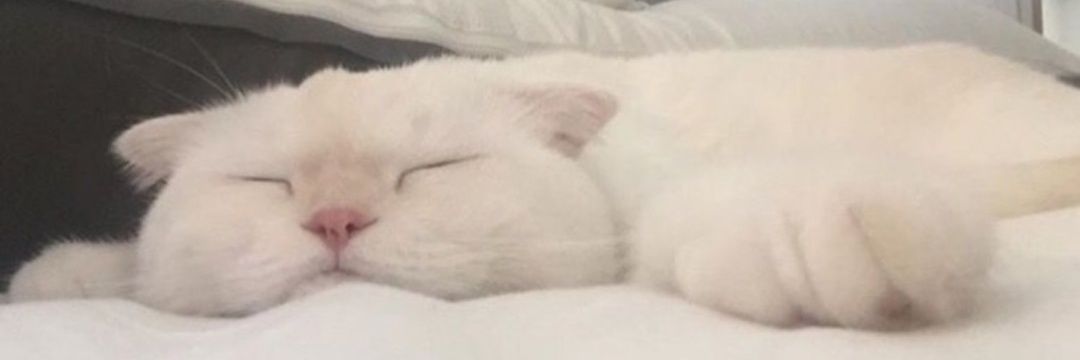 . banner