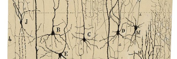 ScottWilke5 Profile Banner