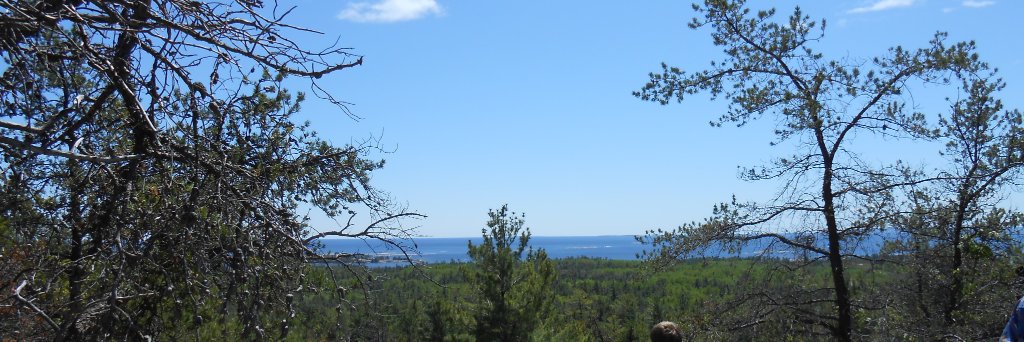 Ginette Toivonen banner