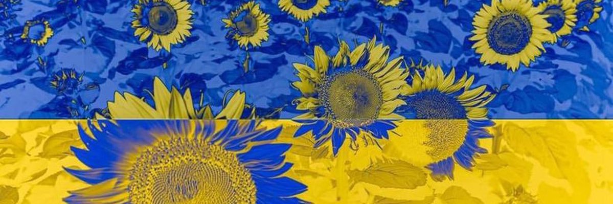 Alexandra Ivanov Hökmark's banner